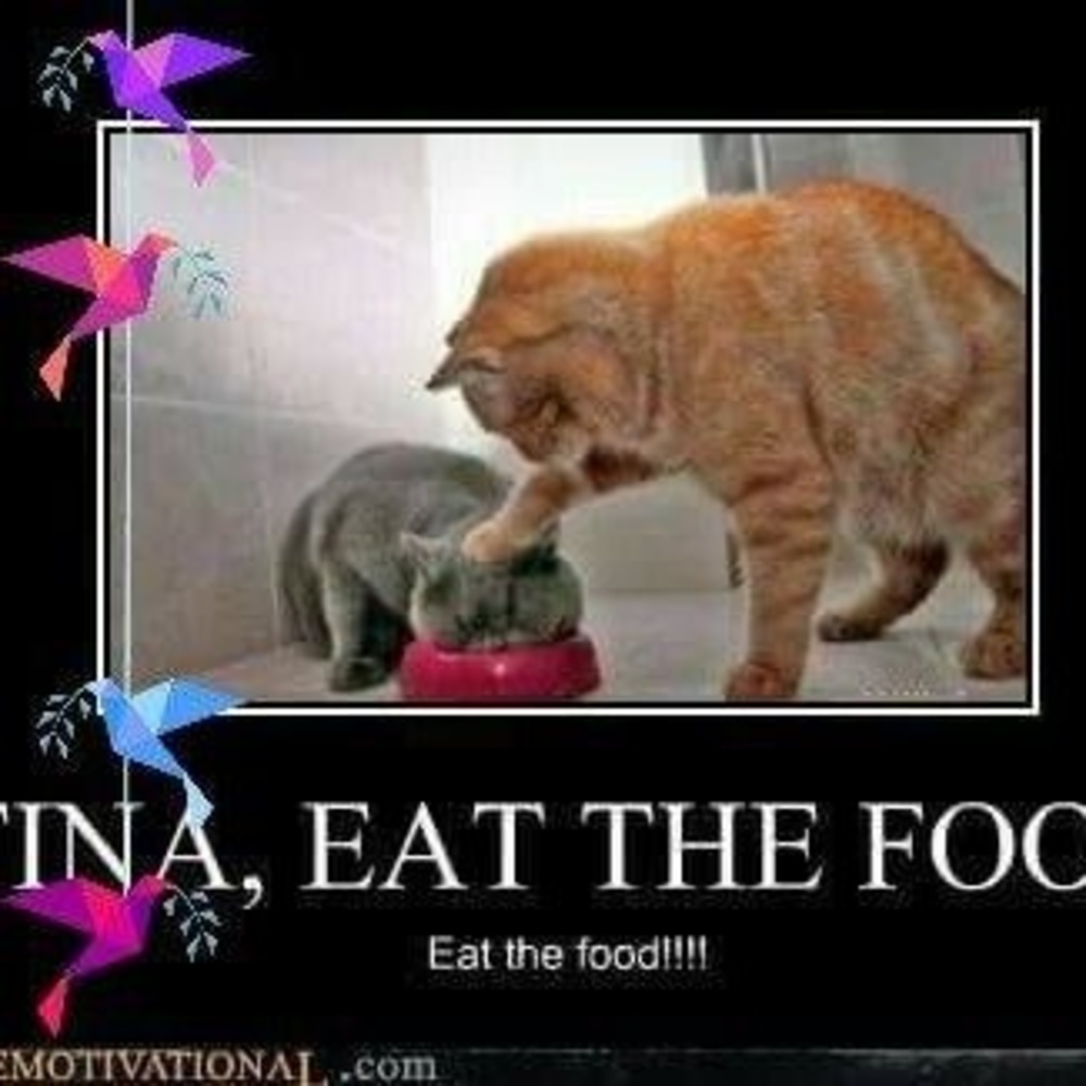 Meet your Posher, Mary